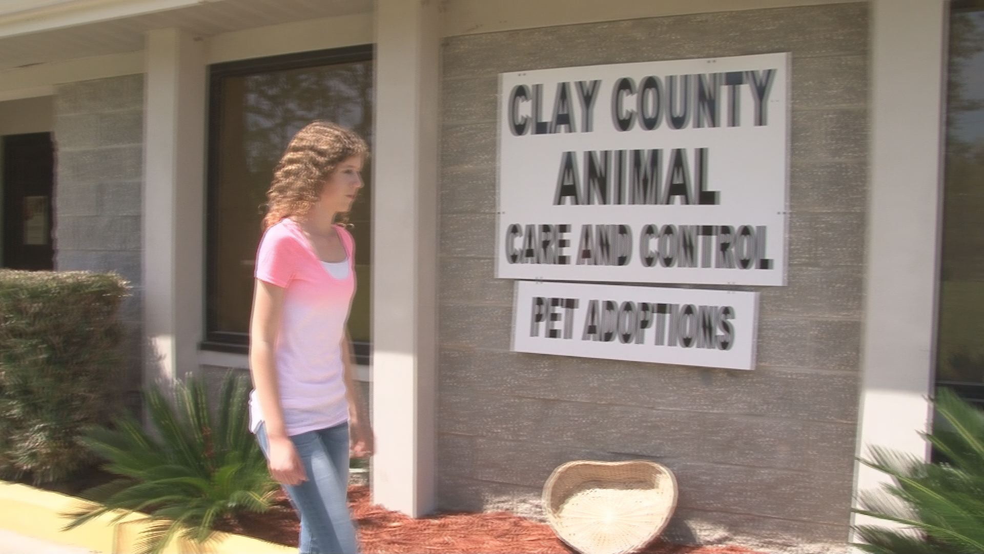 Dogs at Clay County Animal Care and Control in need of homes