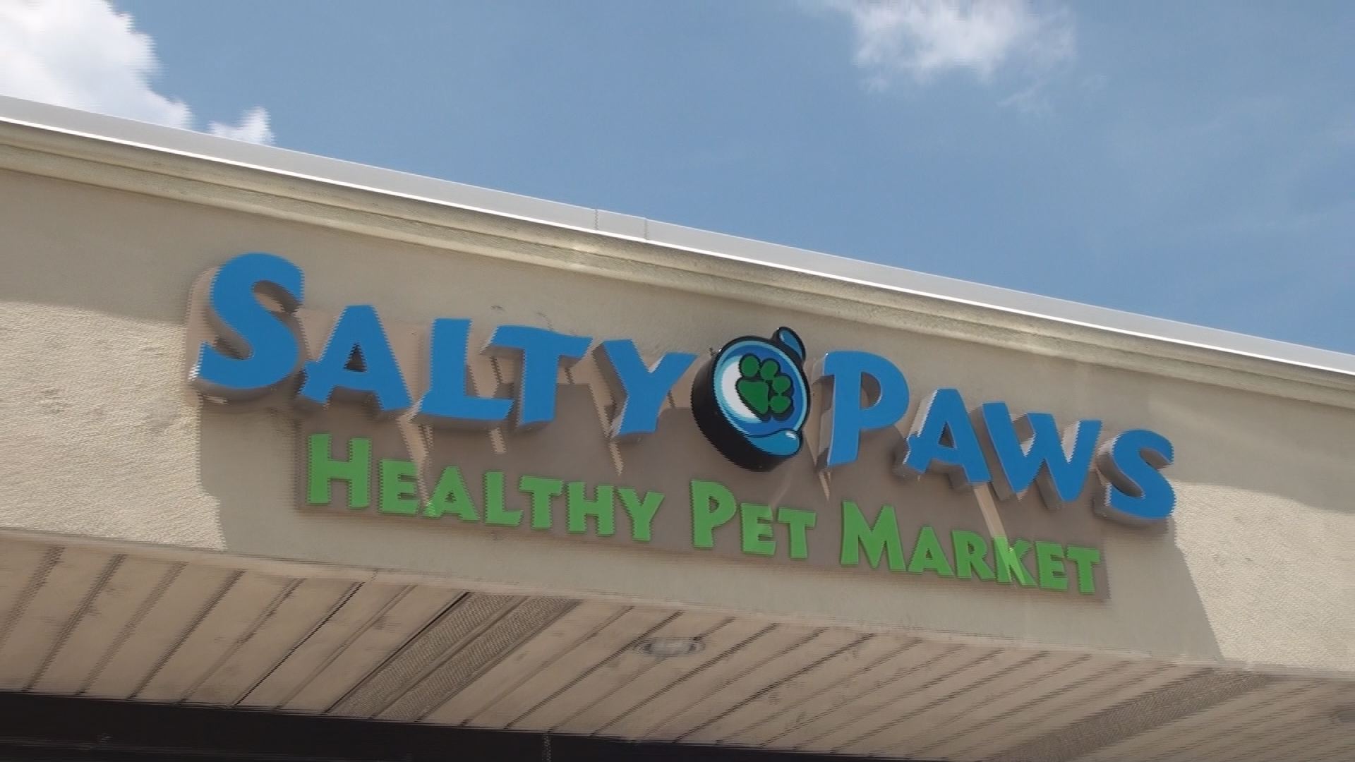 salty paws healthy pet market