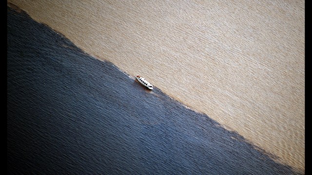 The Amazon's Muddy Waters Have Been Hiding a Massive Reef - Firstcoastnews.com