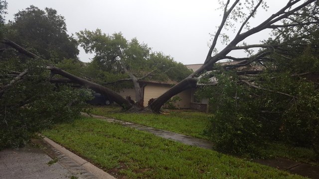 Hurricane Matthew could impact insurance costs around the country - KHOU.com