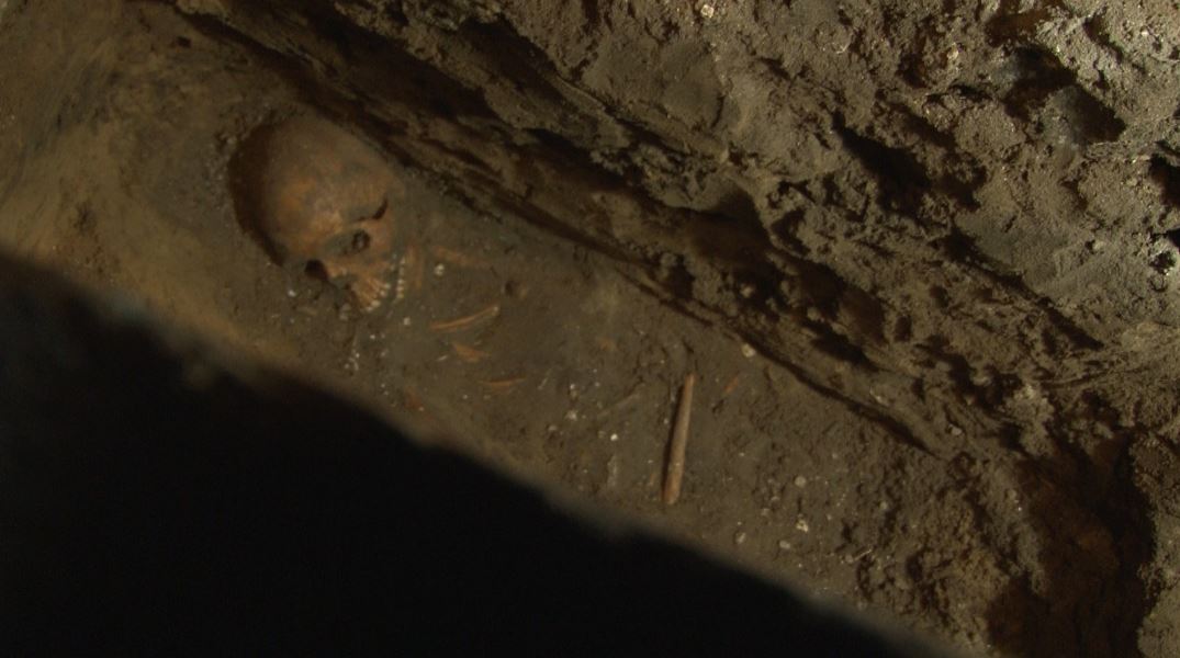 Skeletons may be first colonists in...
