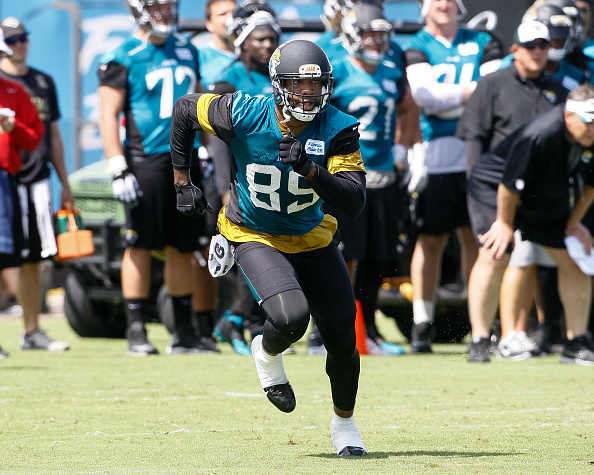 Tight end Marcedes Lewis of the Jacksonville Jaguars watches from the  News Photo - Getty Images