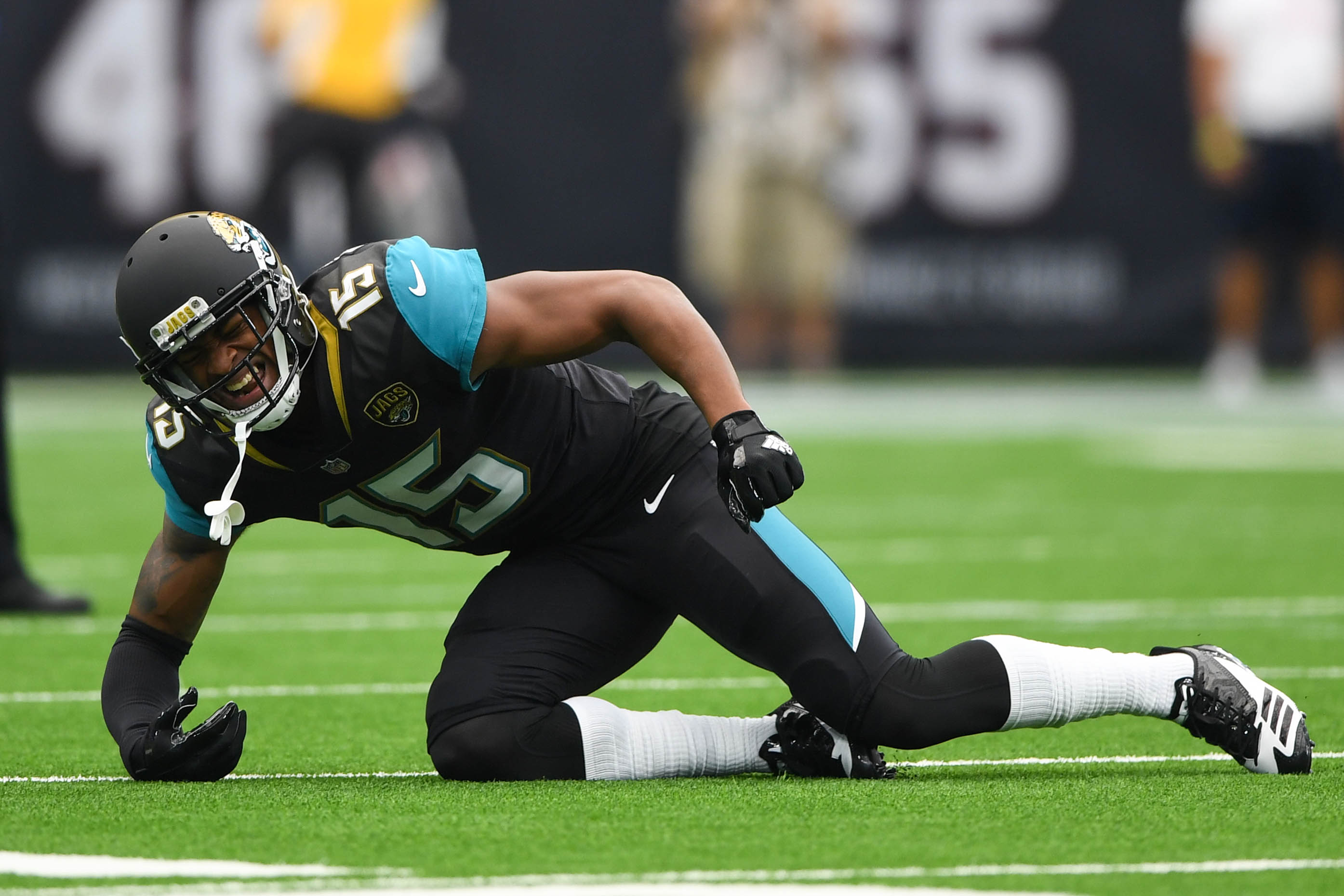 Jacksonville Jaguars: A Look at No. 15 Allen Robinson