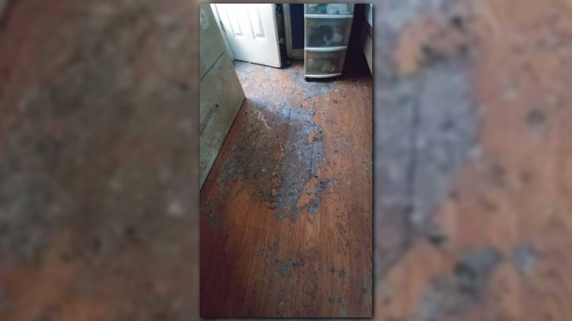 Kingsland Family Without A Home After Toxic Raw Sewage Floods Home 