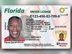 Redesign: Florida Drivers License