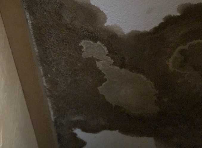 Veteran says he's still dealing with mold after Hurricane Irma damages home